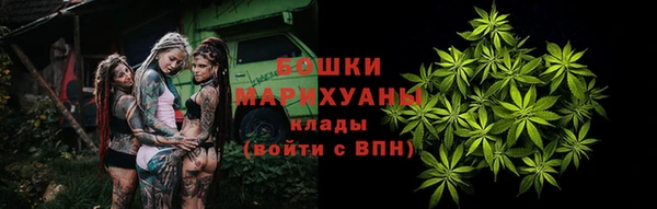 индика Богданович